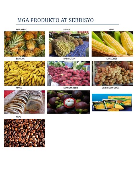 5 halimbawa ng produkto example|Produkto at Serbisyo .